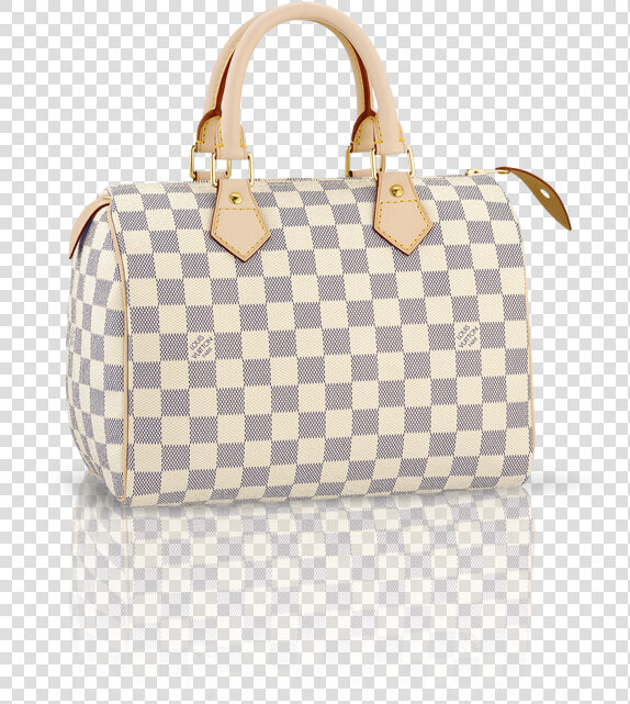 Louis Vuitton Speedy 25 Inside  HD Png DownloadTransparent PNG