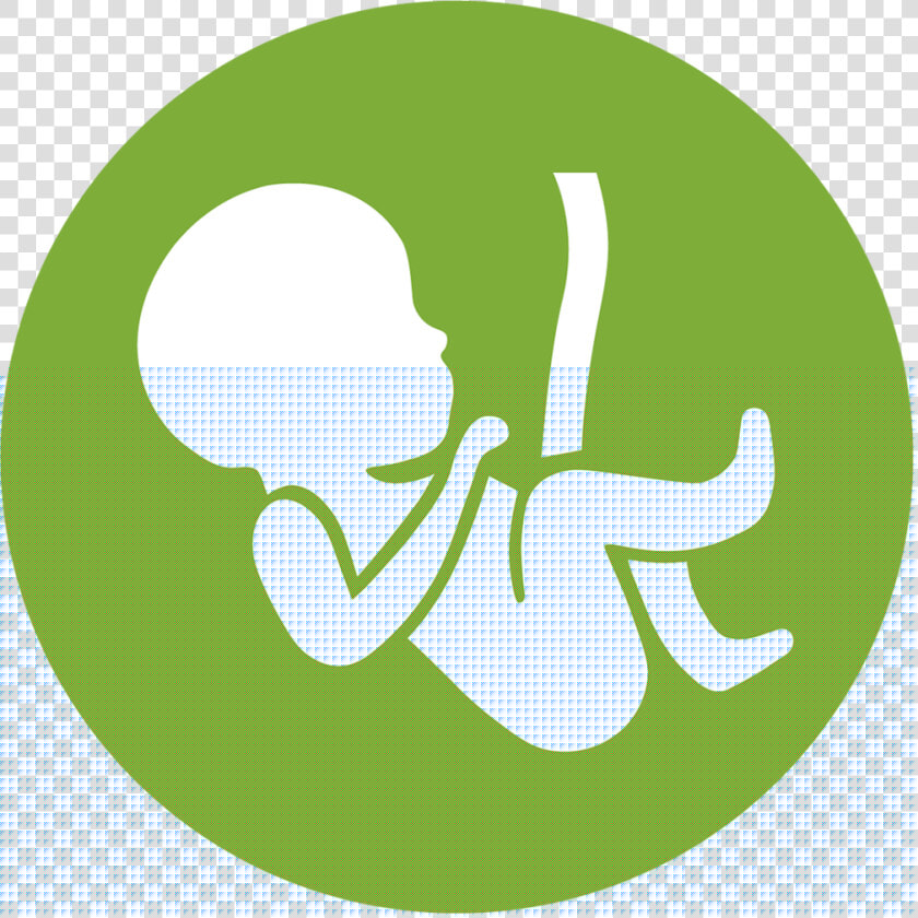 Gynaecology  amp  Obstetrics Icon   Png Download   Gynaecology  amp  Obstetrics Icon  Transparent PngTransparent PNG