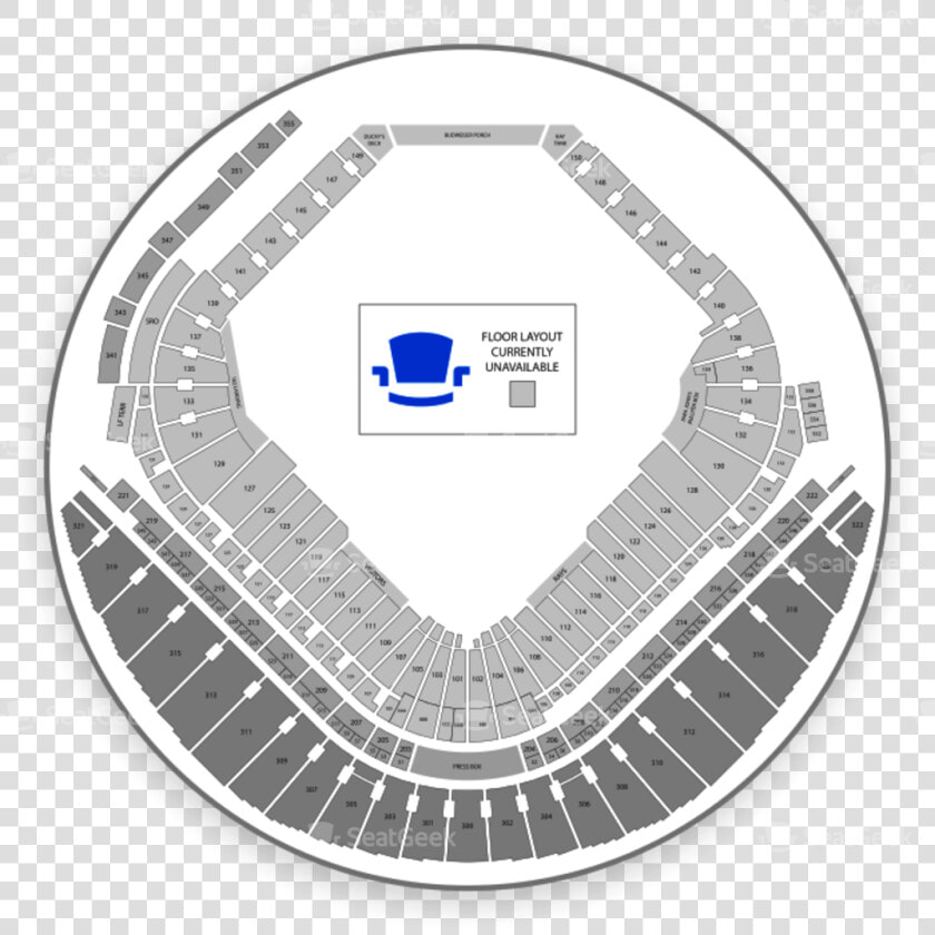 Section 109 Tropicana Field  HD Png DownloadTransparent PNG