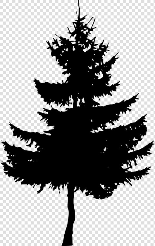 Pine Tree Silhouette   Pine Tree Silhouette Free  HD Png DownloadTransparent PNG