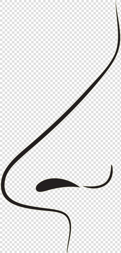To Showcase How Years Of Hard Work  From A Selection  HD Png DownloadTransparent PNG