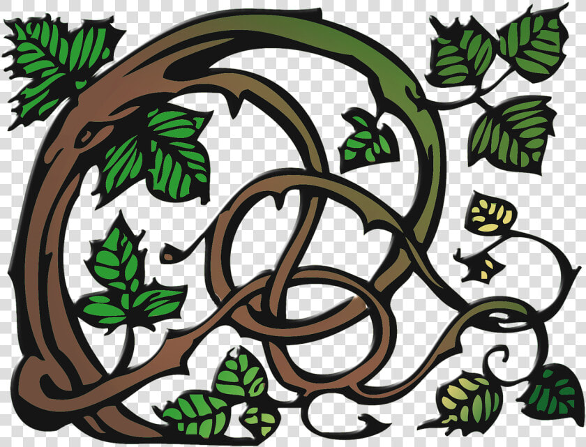 Ranke Clip Art Vine Free Photo   Schlingpflanze Clipart  HD Png DownloadTransparent PNG