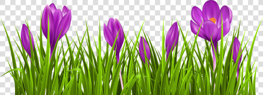 Grass Png Spring   Je Me Suis Fait Tout À Tous  Transparent PngTransparent PNG