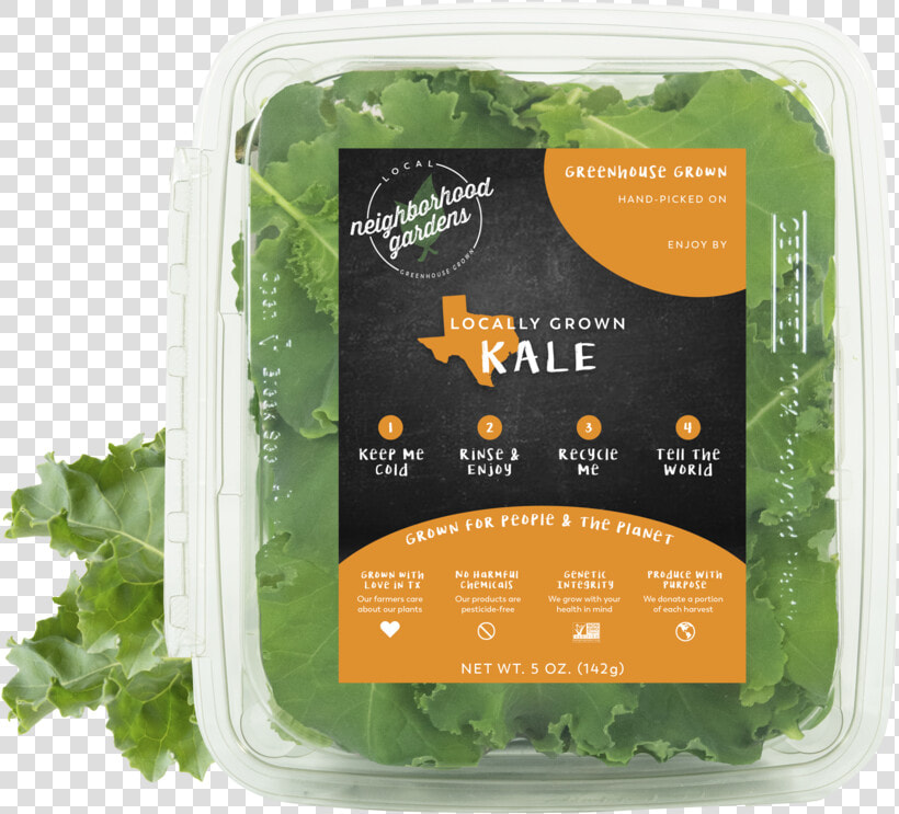 Kale Sample   Kale  HD Png DownloadTransparent PNG