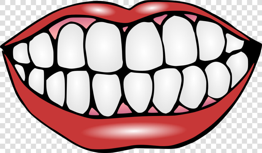Human Tooth Mouth Lip Clip Art   Teeth Clipart  HD Png DownloadTransparent PNG