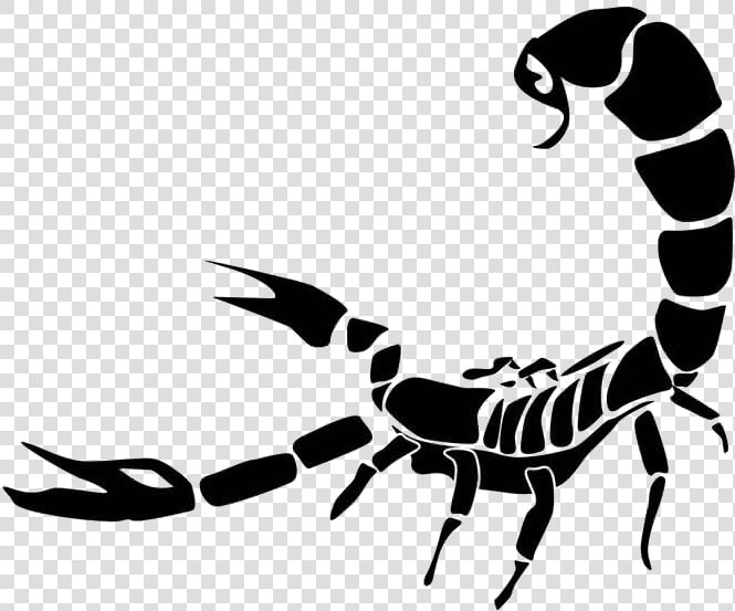 Scorpio Tattoo Png Photo   Scorpio Tattoo Png  Transparent PngTransparent PNG