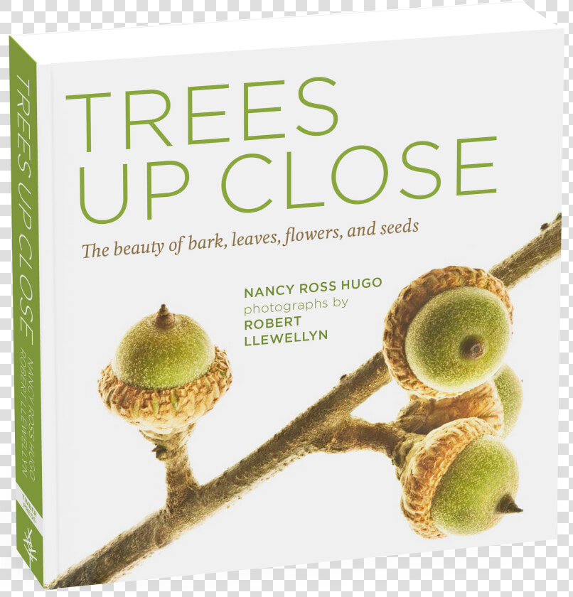 Cover   Trees Up Close  The Beauty Of Their Bark  Leaves  Flowers   HD Png DownloadTransparent PNG