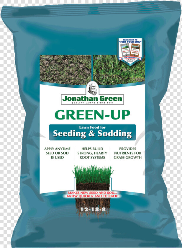 Jonathan Green  HD Png DownloadTransparent PNG