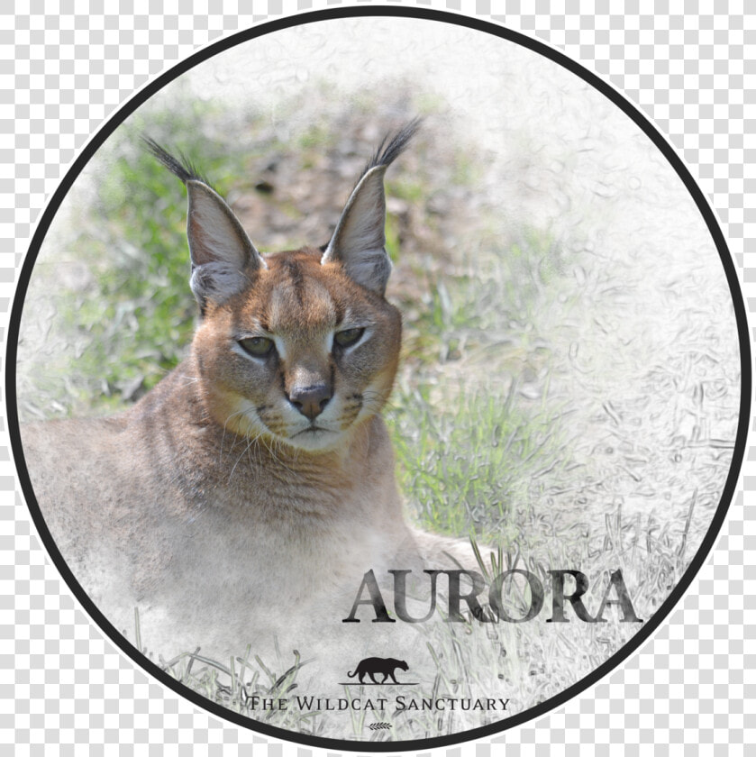 Canyon County Idaho Seal  HD Png DownloadTransparent PNG