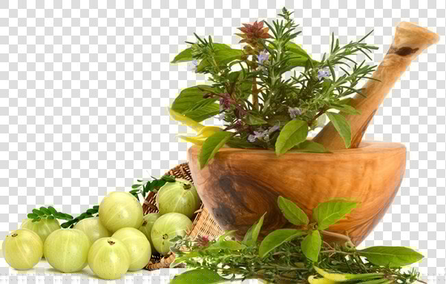 Slide Background   Ayurvedic Background  HD Png DownloadTransparent PNG