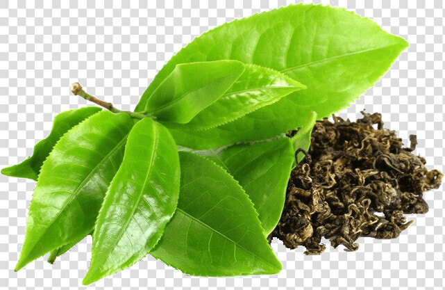 Loose Tea Subhero   Tea Leaves  HD Png DownloadTransparent PNG