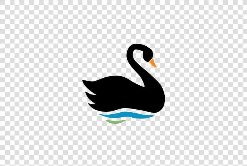 Swan Transparent Image   Black Swan  HD Png DownloadTransparent PNG