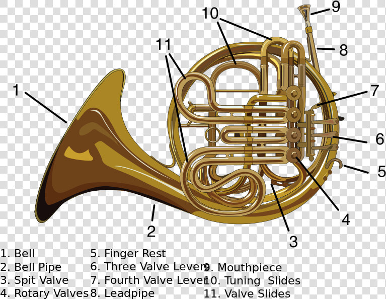File   Carynprice french Horn   Svg   Alat Musik Modern   Parts Of A Double French Horn  HD Png DownloadTransparent PNG