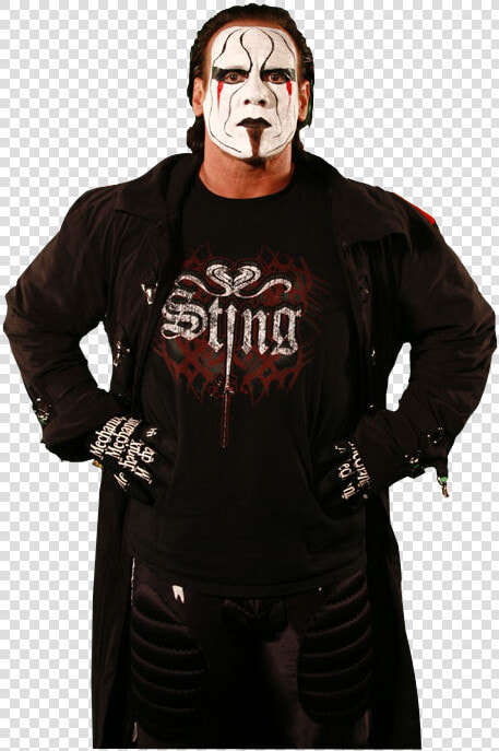 Sting Tna  HD Png DownloadTransparent PNG