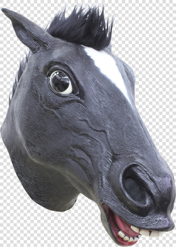 Horse Black Mask Class   Caballo Negro  HD Png DownloadTransparent PNG