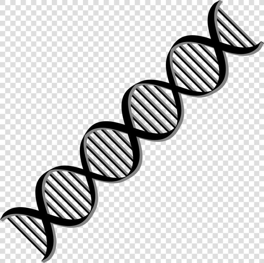 Dark And Dna Background   Clipart Dna Double Helix  HD Png DownloadTransparent PNG