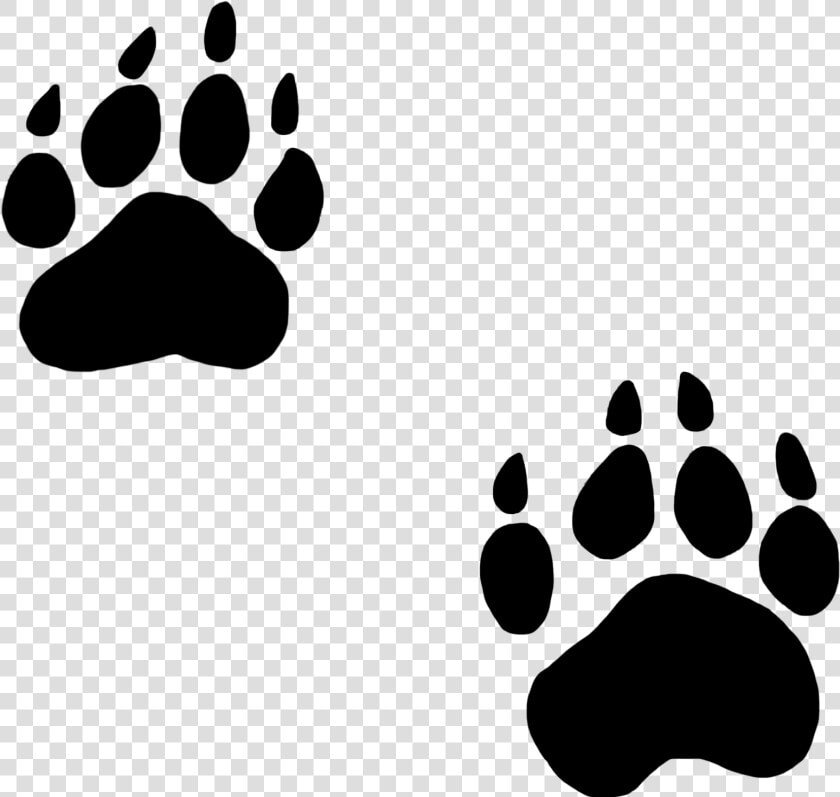 Transparent Paw Print Clipart   Bear Paw Print Png  Png DownloadTransparent PNG
