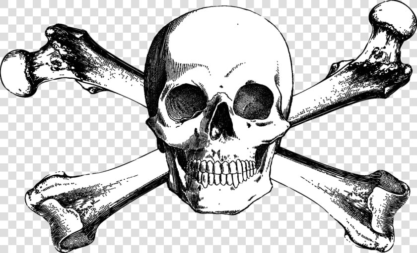 And Bones Drawing Skull Crossbones Free Download Png   Free Skull And Crossbones  Transparent PngTransparent PNG