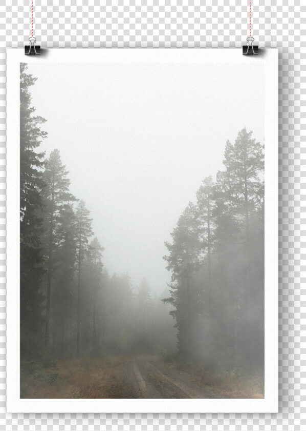 Foggyforest Mockup1  HD Png DownloadTransparent PNG