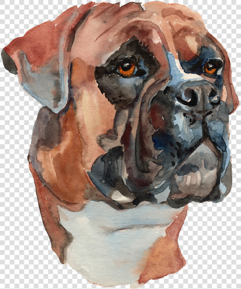 Water Color Painted Dog Png   Hand Painted Boxer Dog  Transparent PngTransparent PNG