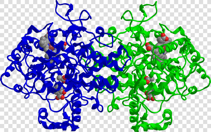 Cox 2 Inhibited By Aspirin   Aspirin Cox Structure  HD Png DownloadTransparent PNG