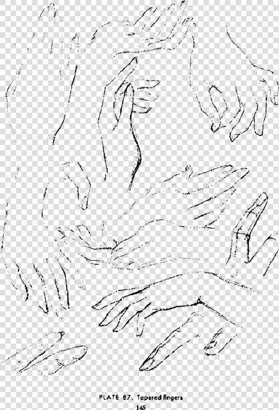 Andrew Loomis Drawing The Head And Hands 132 Clip Arts   Line Art  HD Png DownloadTransparent PNG