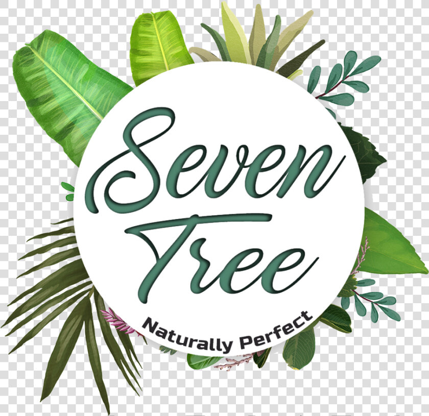 19 Successful Years  HD Png DownloadTransparent PNG
