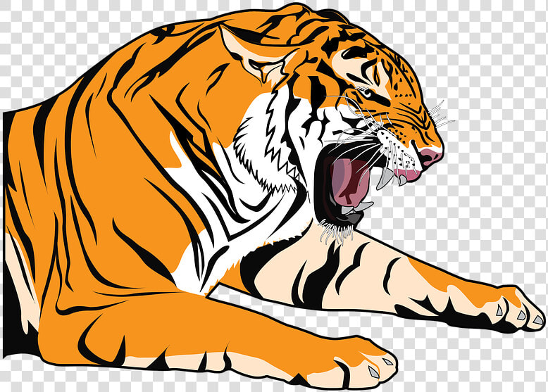 Tiger  Roaring  Animal  Nature  Wildcat  Jungle  Face   Silver Tiger Logo  HD Png DownloadTransparent PNG