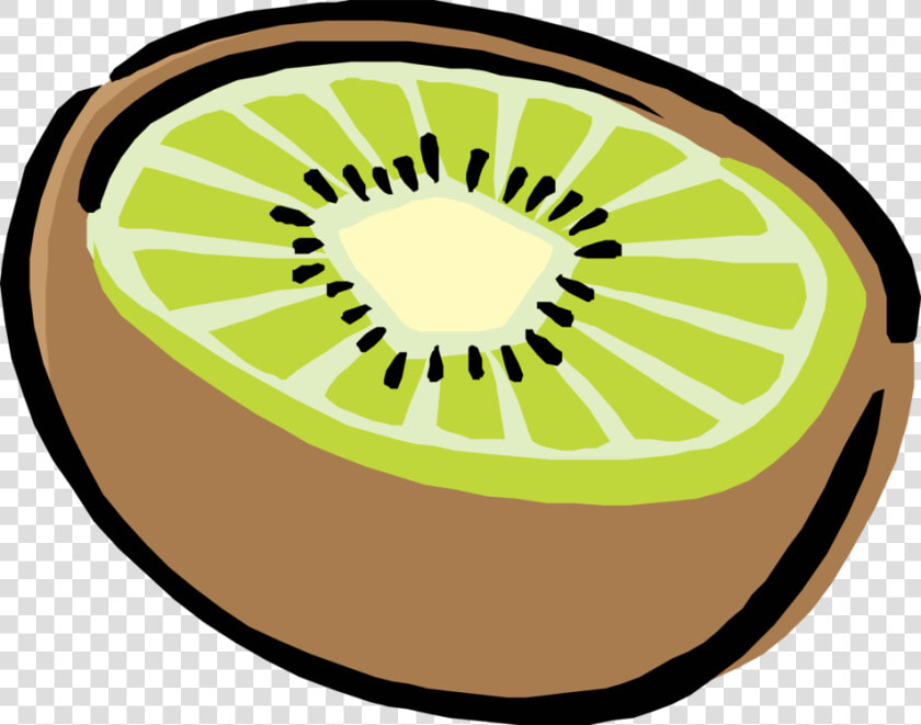 Kiwi eye food   Cartoon Kiwi Fruit Transparent  HD Png DownloadTransparent PNG