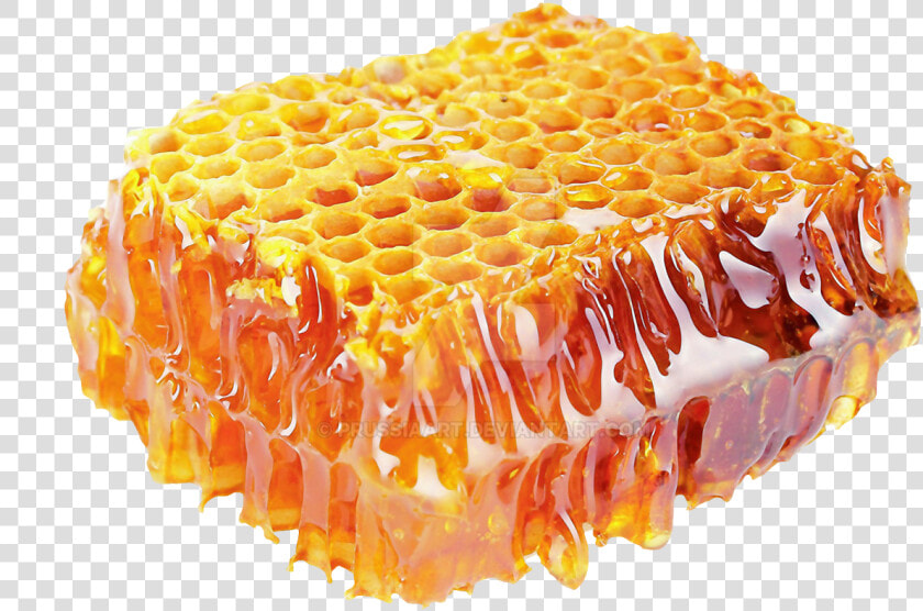 Honey Png   Transparent Background Honey Png  Png DownloadTransparent PNG