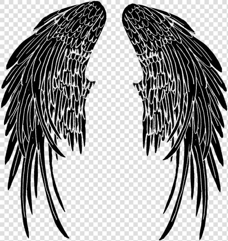Wings Tattoo Png Pic   Angel Wings Tattoo Png  Transparent PngTransparent PNG