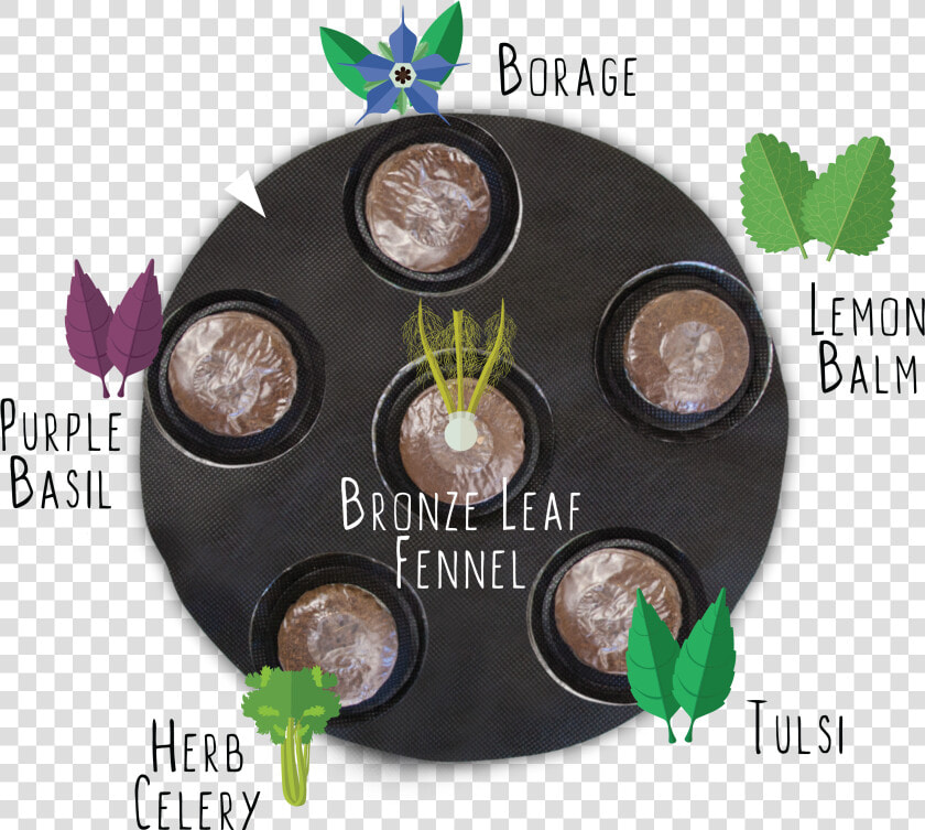 Gyo Cocktails Seedsheet  HD Png DownloadTransparent PNG