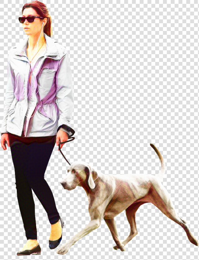 Dog Walking Portable Network Graphics Labrador Retriever   Person Walking Dog Png  Transparent PngTransparent PNG