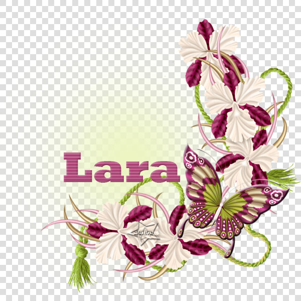 Nombres Con La Letra L   Orchids Of The Philippines  HD Png DownloadTransparent PNG