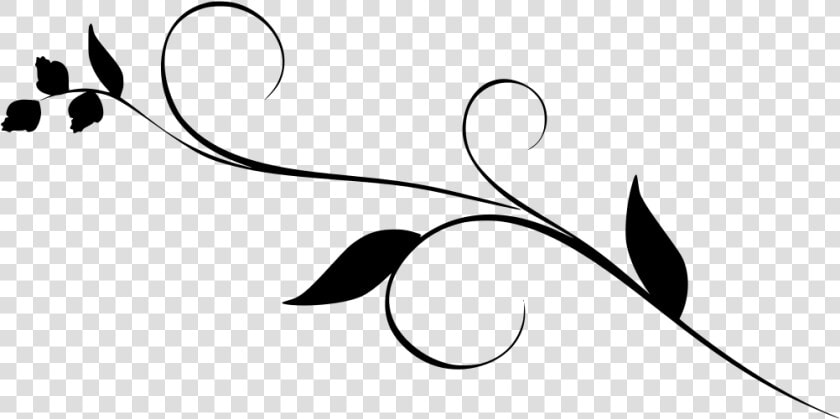 Curves Svg  HD Png DownloadTransparent PNG