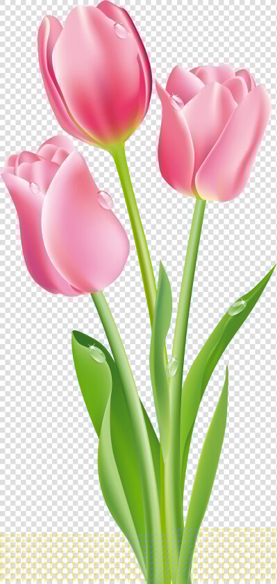 Simple Doodle Red Tulip Te Flower Seamless Background   Tulip Flower Clipart Png  Transparent PngTransparent PNG