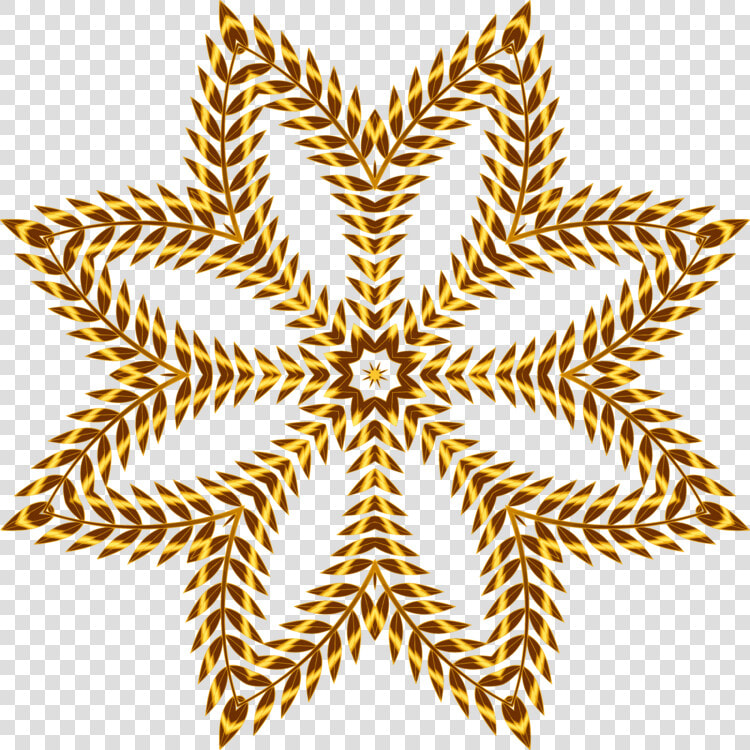 Leaf symmetry line   آرم دانشگاه ارومیه  HD Png DownloadTransparent PNG