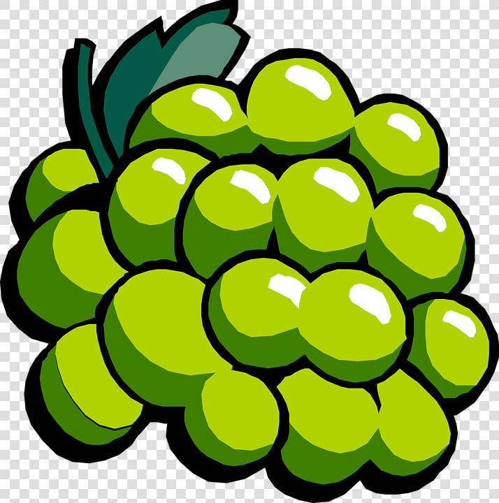 Grape  Fruits  Bunch  Fresh  Green  Organic  Natural   Clipart Grape  HD Png DownloadTransparent PNG