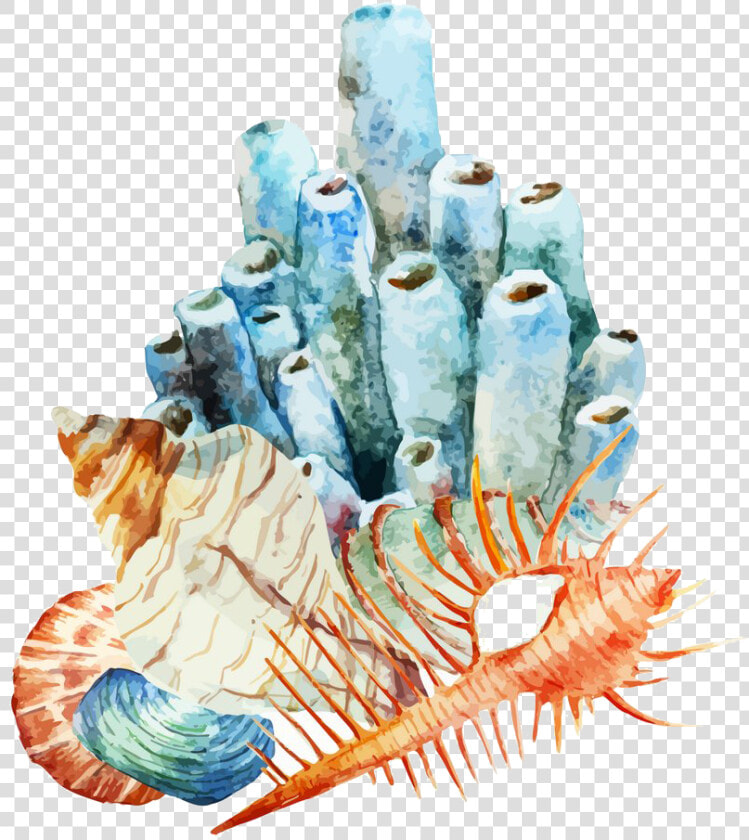 Coral Reef Watercolor Painting Illustration   Watercolor Coral Reef Png  Transparent PngTransparent PNG