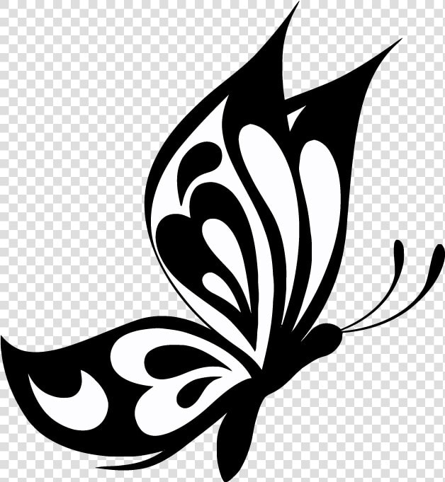 Elegant Butterfly Vector Images An Images Hub   Transparent Butterfly Vector Png  Png DownloadTransparent PNG