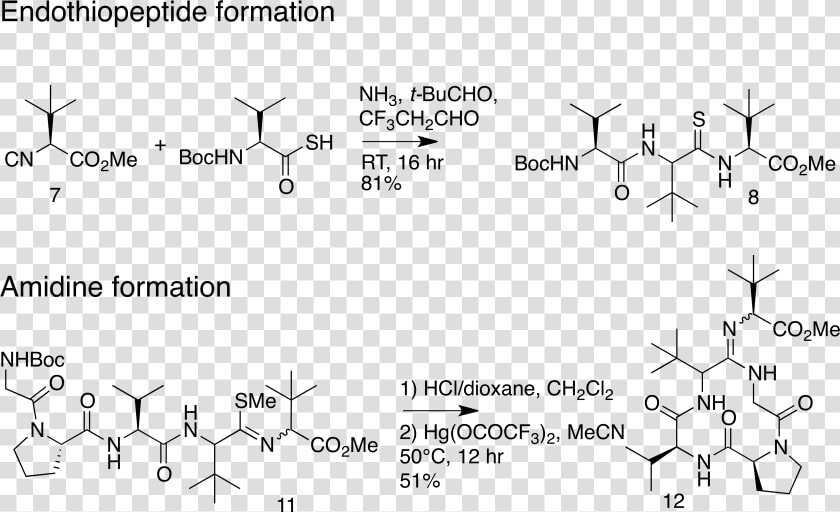 Key Steps In Alternative Macrocycle Synthesis   Macrocycle Synthesis  HD Png DownloadTransparent PNG