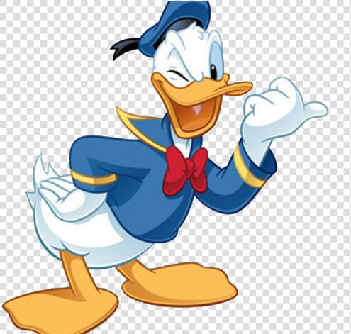 Donald Duck Png Free Background   Donald Duck Png  Transparent PngTransparent PNG