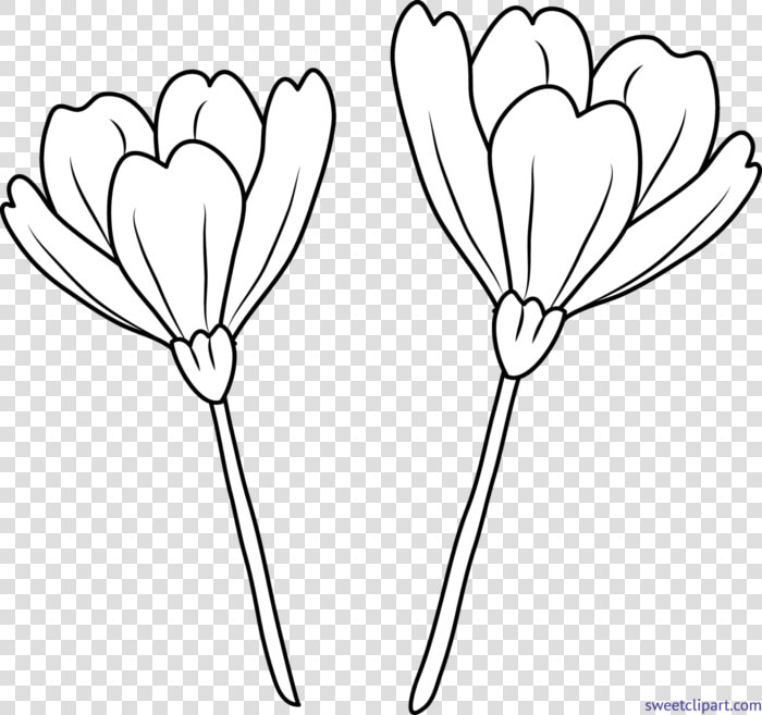 Transparent Flower Line Png   Flower Line Art Png  Png DownloadTransparent PNG