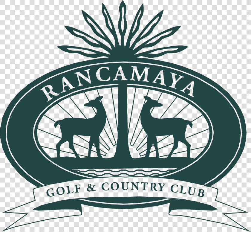 Golfer Silhouette Png  Transparent PngTransparent PNG