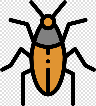 Weevil  HD Png DownloadTransparent PNG