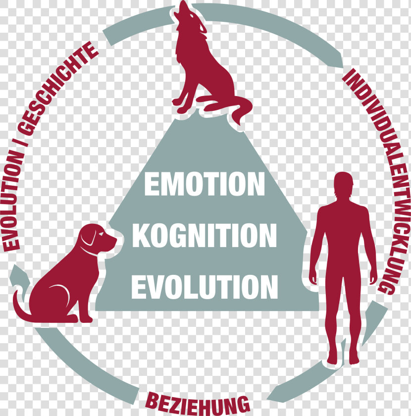 Forschung Am Wsc   Lekkerkerker  HD Png DownloadTransparent PNG