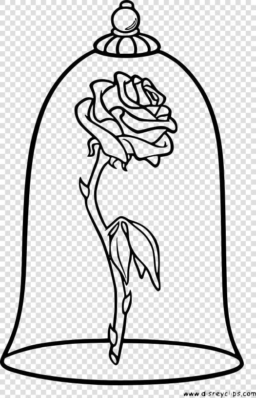Enchanted Rose Beauty And The Beast Drawing  HD Png DownloadTransparent PNG
