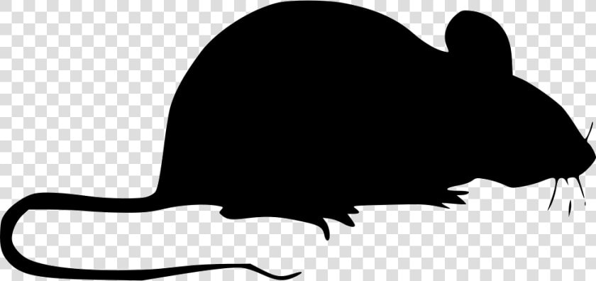 Mouse   Mice Icon Png  Transparent PngTransparent PNG