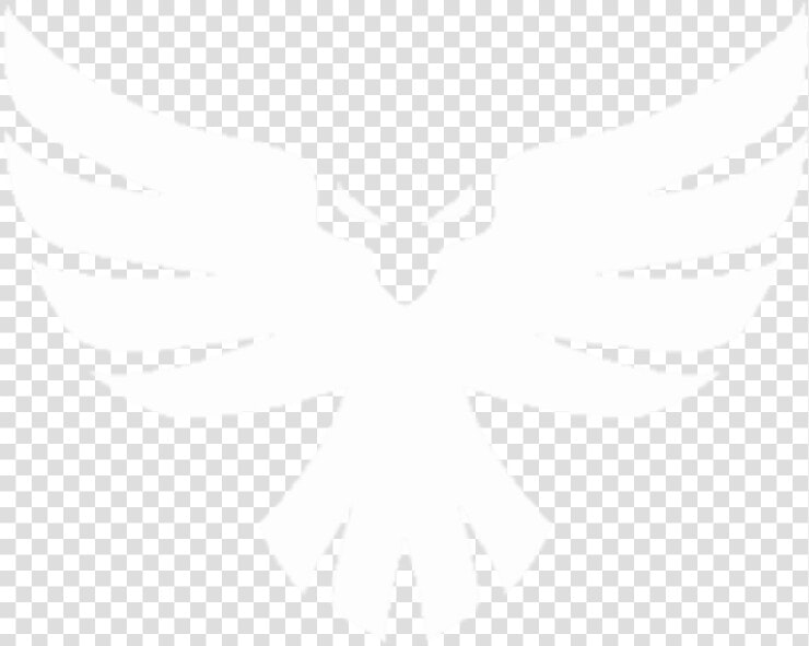 Hawk Hill Custom   Hawk Hill Custom Logo  HD Png DownloadTransparent PNG