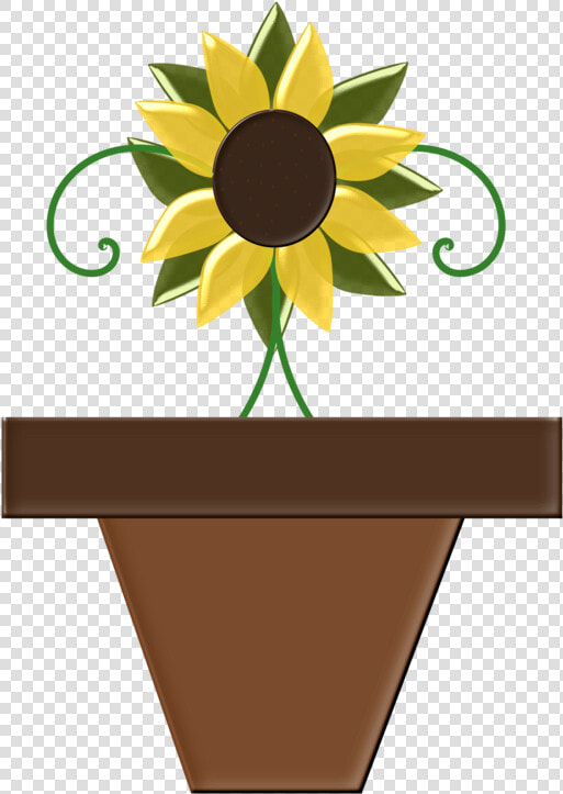 Plant flower sunflower   Black eyed Susan  HD Png DownloadTransparent PNG